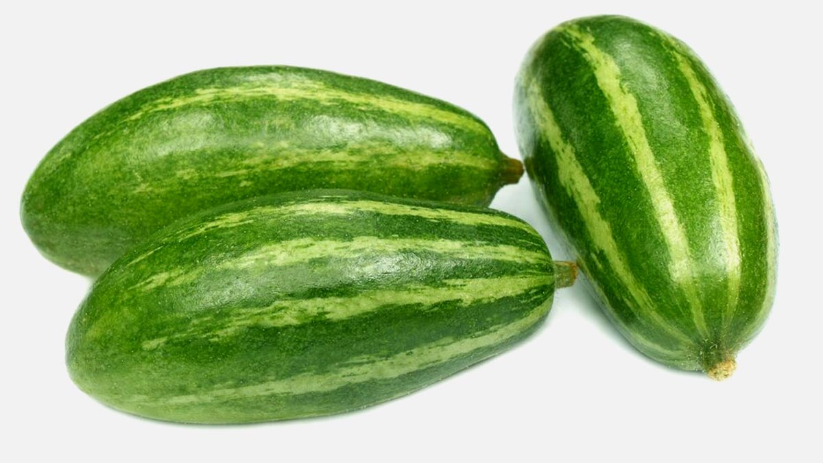 Pointed Gourd: Health Benefits Of This Seasonal Vegetable 