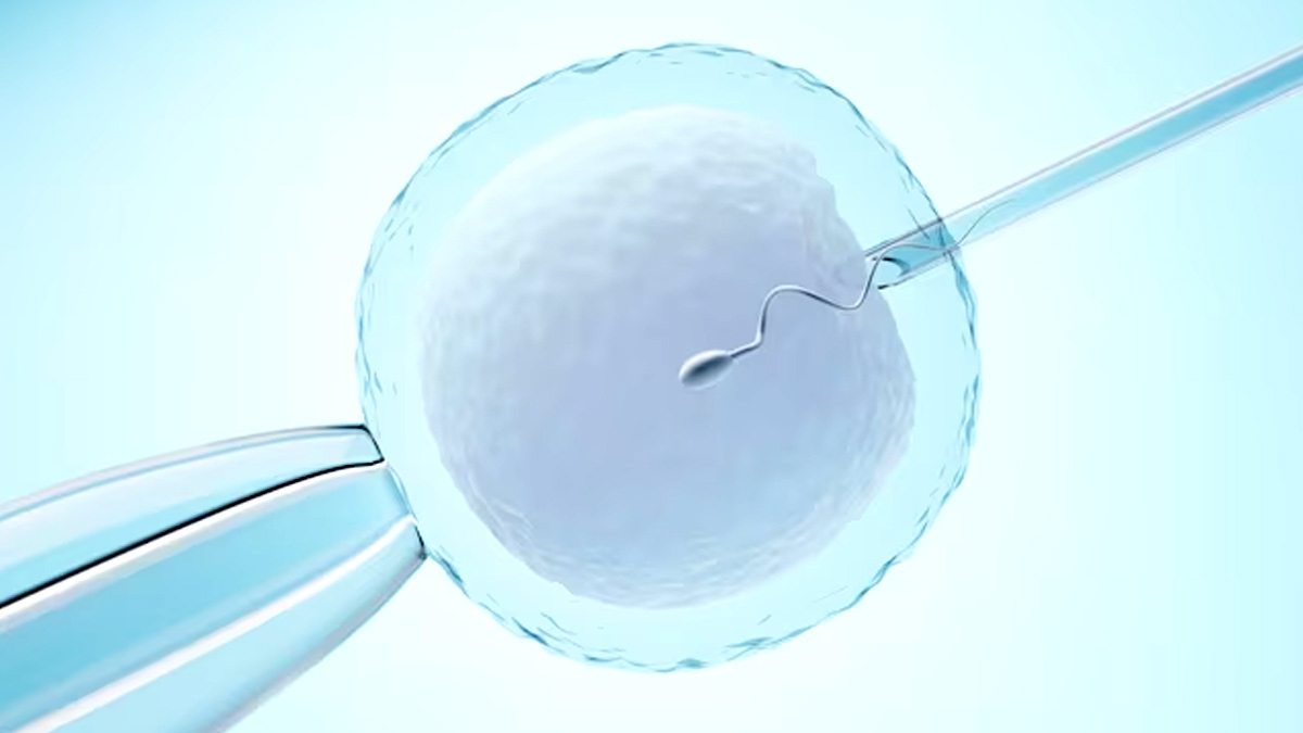 The Top 5 Factors Leading To A Failed IVF 